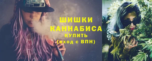 шишки Аркадак