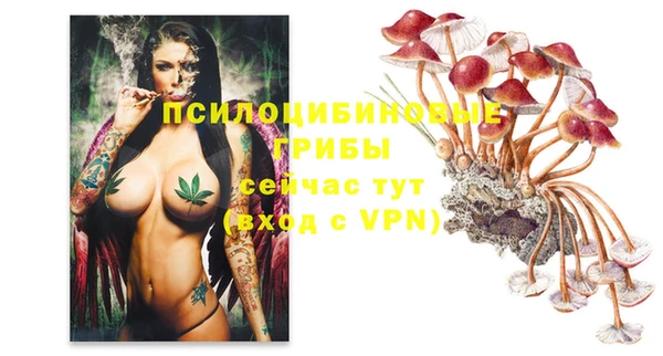 PSILOCYBIN Арсеньев