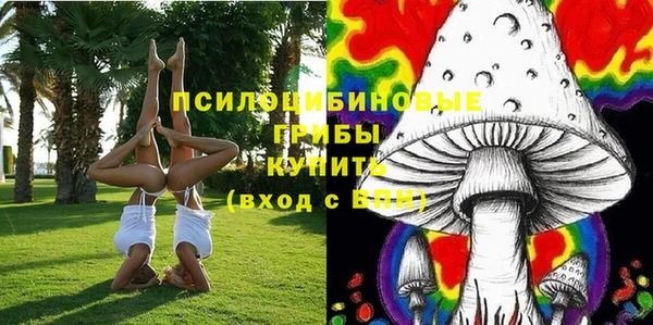 шишки Аркадак