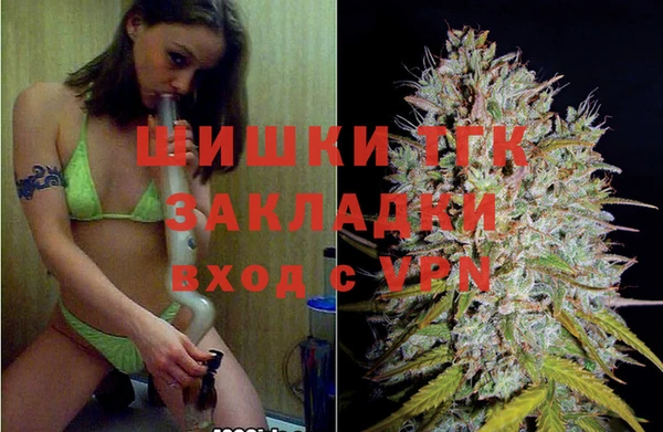 дживик Алзамай
